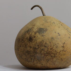 ham su kabağı 1 1 nolu Büyük Ham Su Kabağı