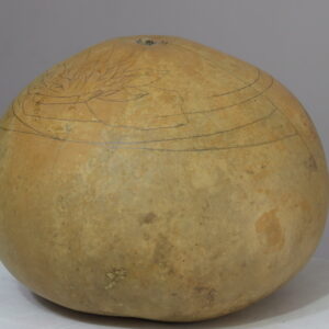 IMG_1025 2 nolu Büyük Ham Su Kabağı