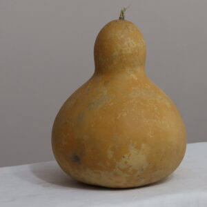 IMG_1031 3 nolu Büyük Ham Su Kabağı