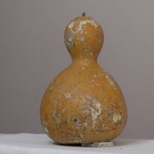 IMG_1034 4 nolu Büyük Ham Su Kabağı