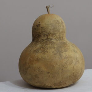 5 nolu Büyük Ham Su Kabağı