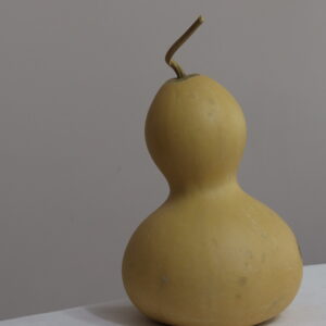 7 nolu Orta Boy Ham Su Kabağı