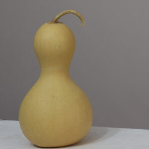 6 nolu Orta Boy Ham Su Kabağı