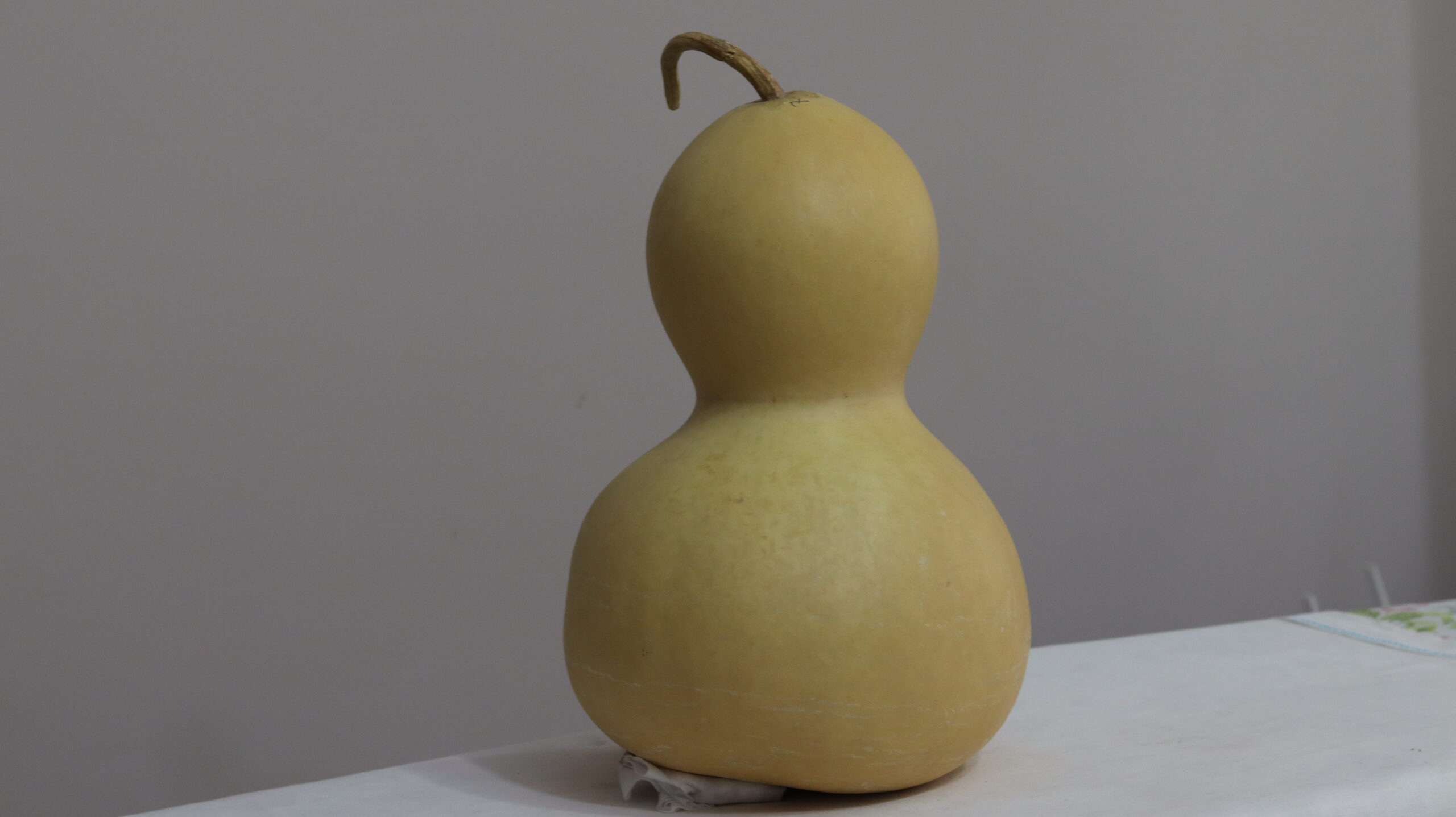 8 nolu Orta Boy Ham Su Kabağı - Görsel 3