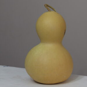 IMG_1046 8 nolu Orta Boy Ham Su Kabağı