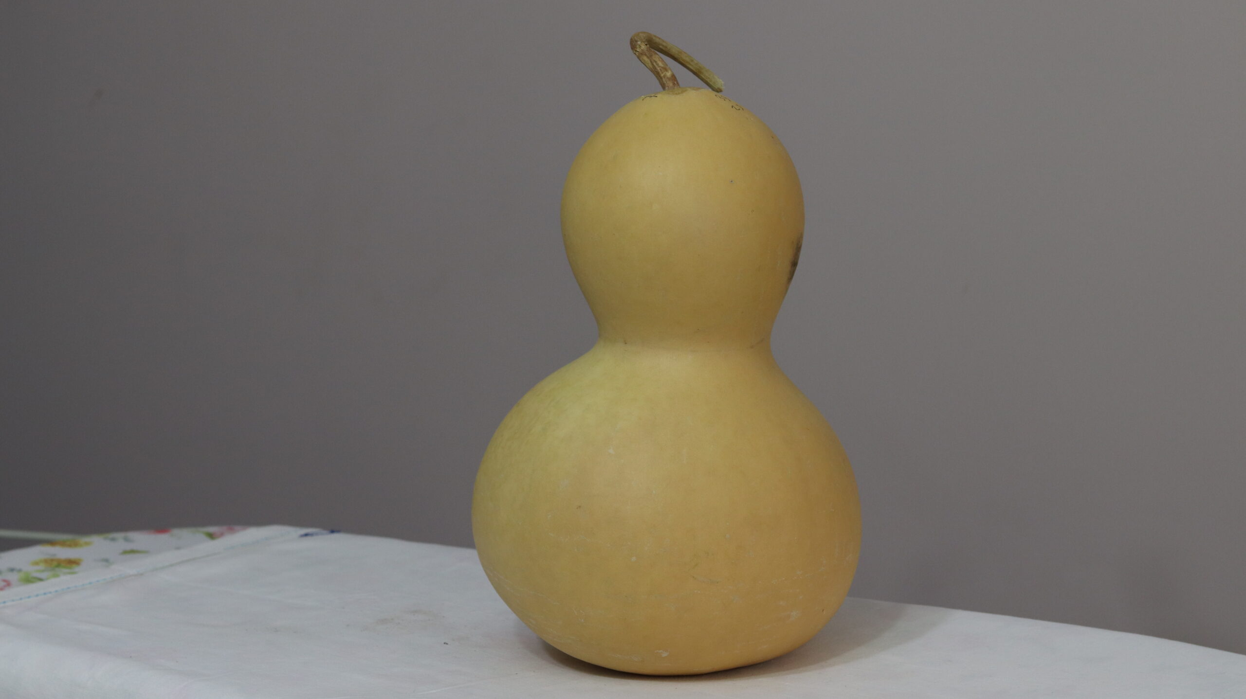 8 nolu Orta Boy Ham Su Kabağı