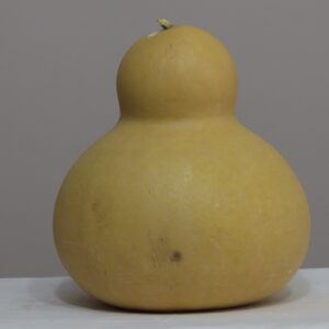 IMG_1047 9 nolu Büyük Ham Su Kabağı