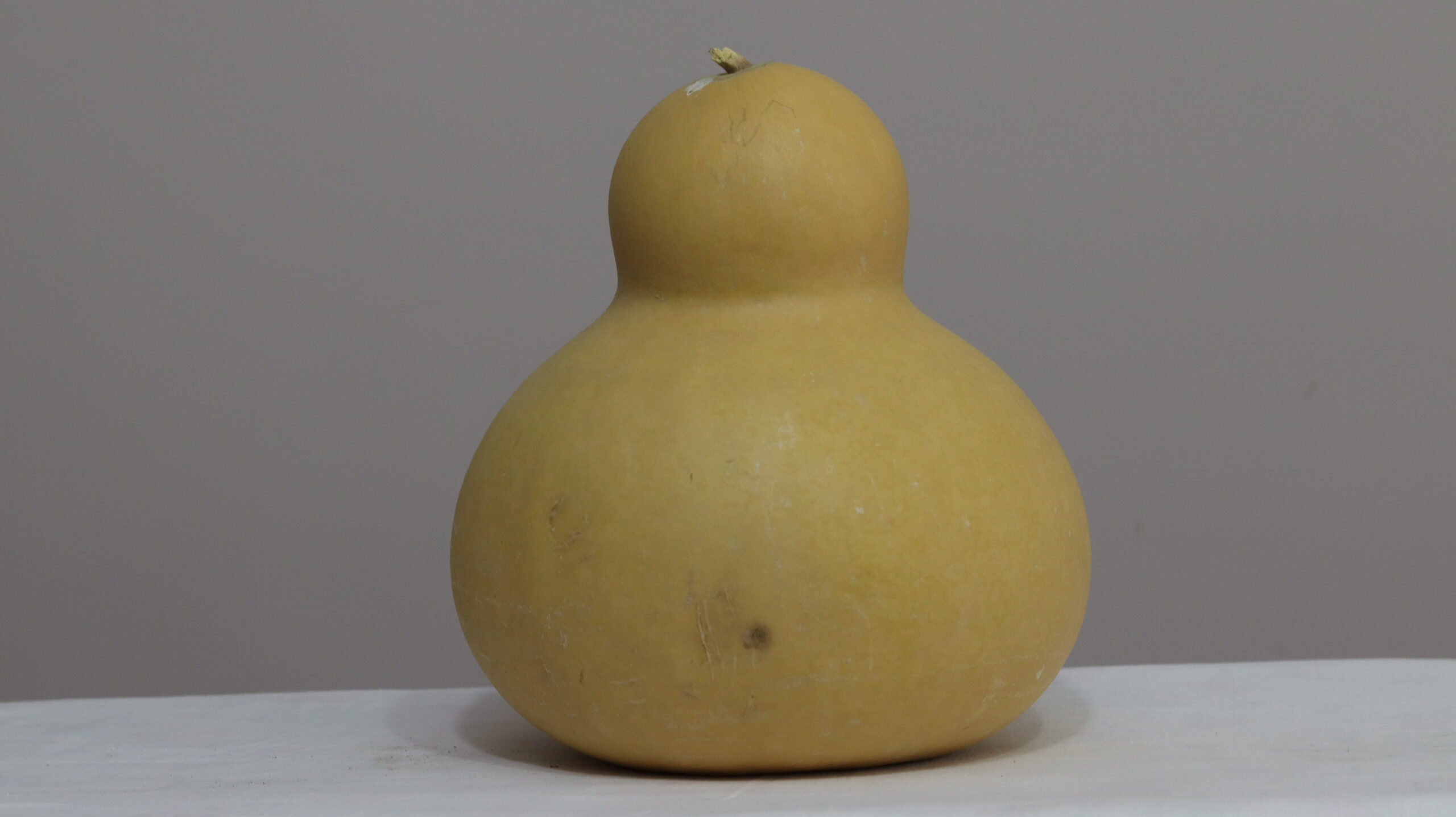 9 nolu Büyük Ham Su Kabağı