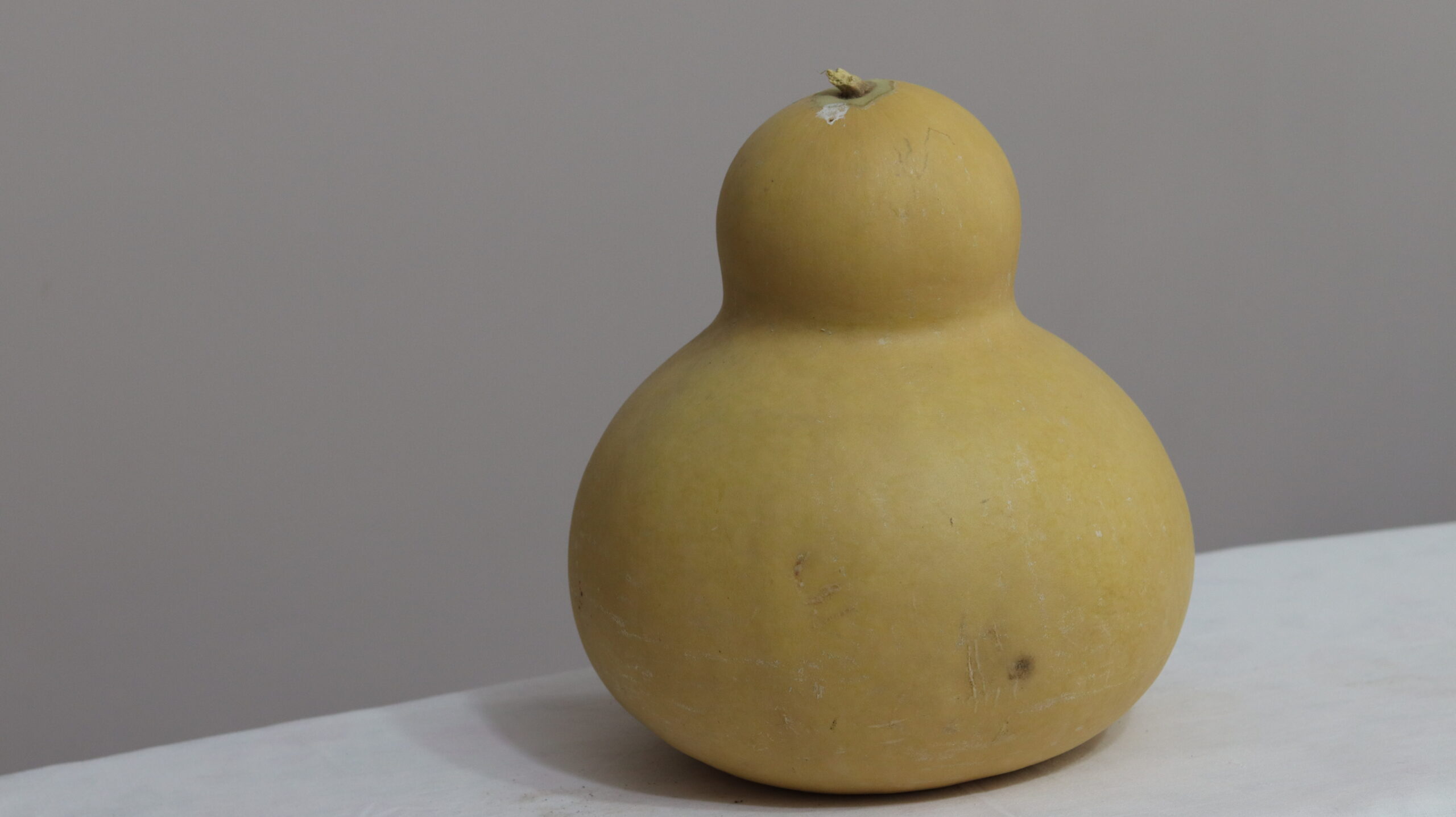 9 nolu Büyük Ham Su Kabağı - Görsel 3