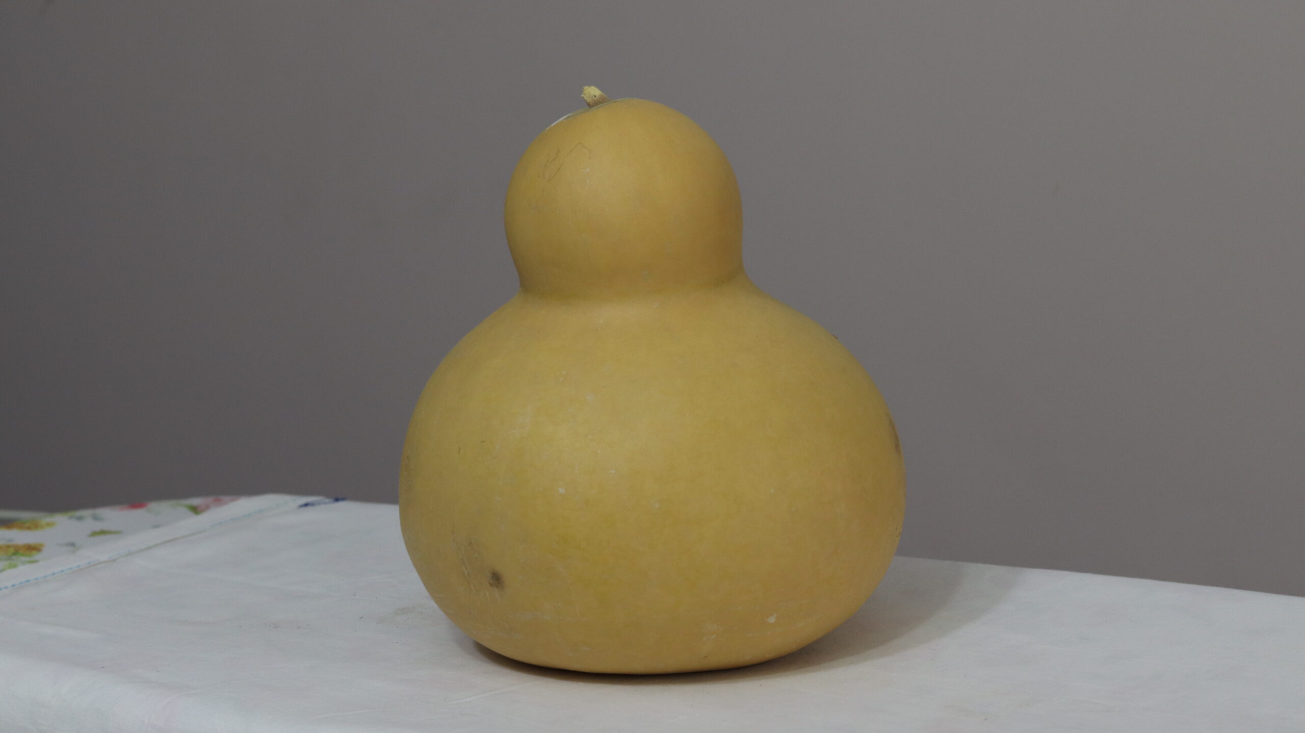 9 nolu Büyük Ham Su Kabağı - Görsel 4