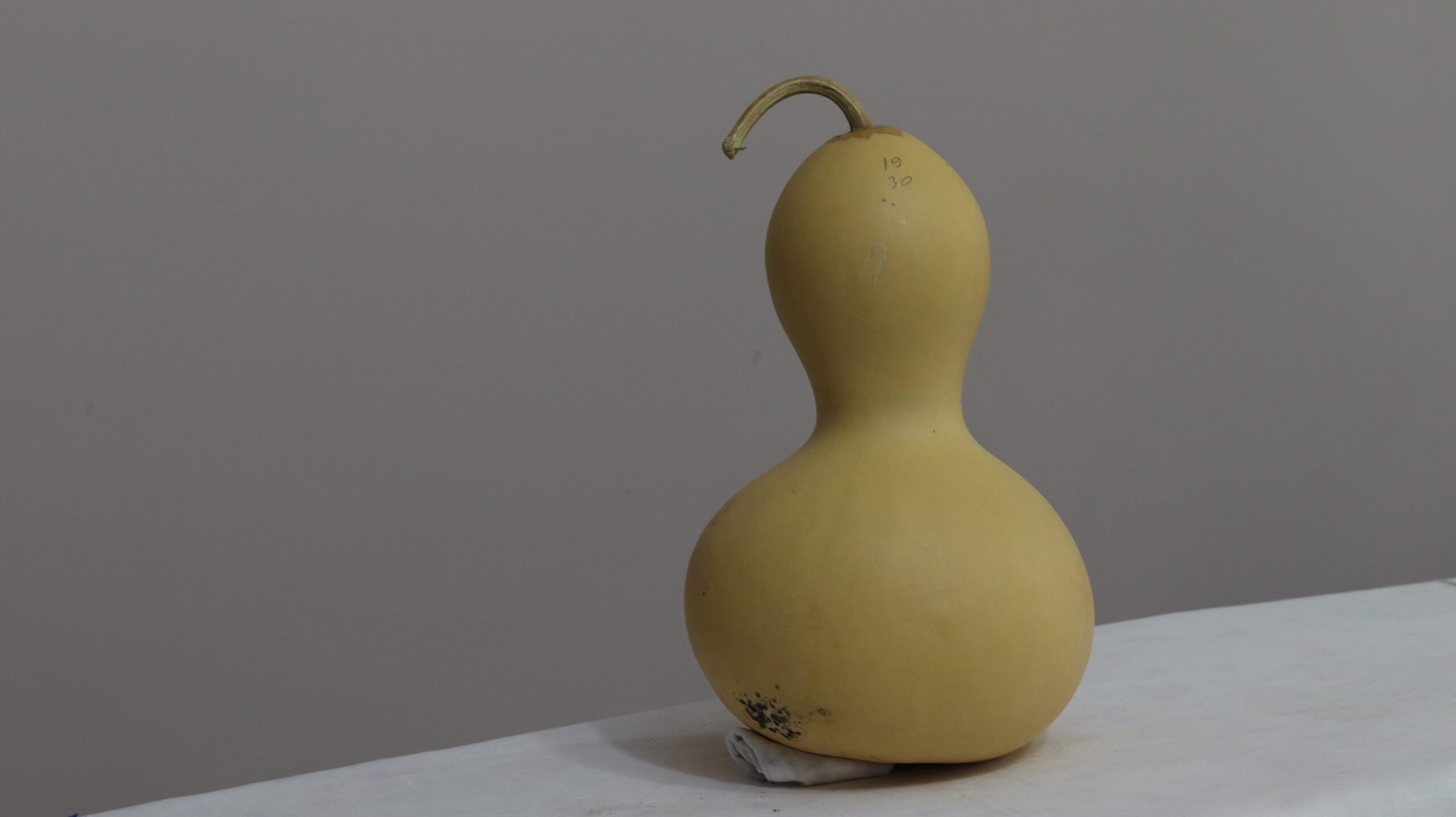 10 nolu Orta Boy Ham Su Kabağı - Görsel 3