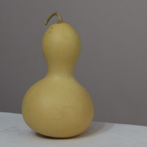 IMG_1053 10 nolu Orta Boy Ham Su Kabağı