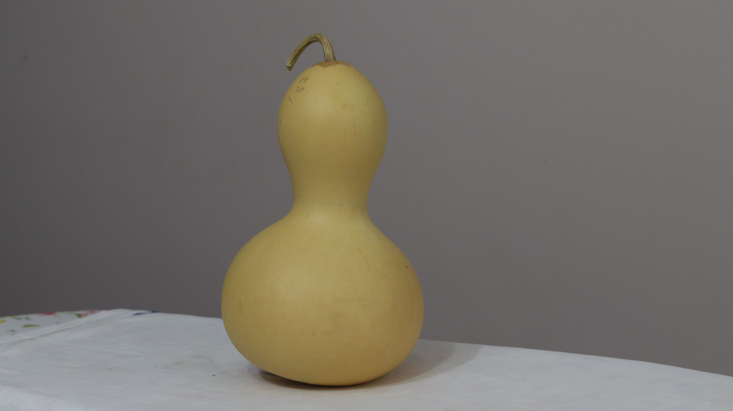 10 nolu Orta Boy Ham Su Kabağı